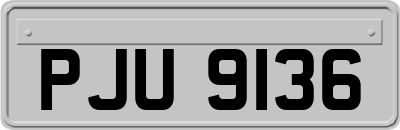PJU9136