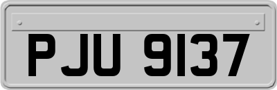 PJU9137