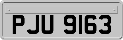 PJU9163