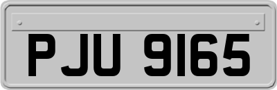 PJU9165