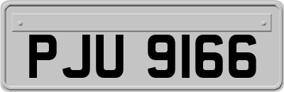 PJU9166