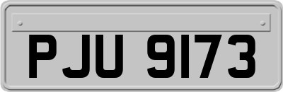 PJU9173