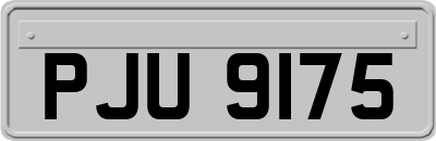 PJU9175