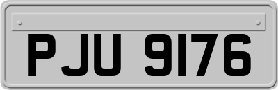 PJU9176