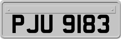 PJU9183