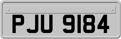 PJU9184