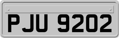 PJU9202