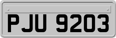 PJU9203