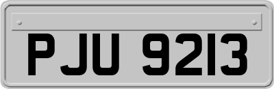 PJU9213