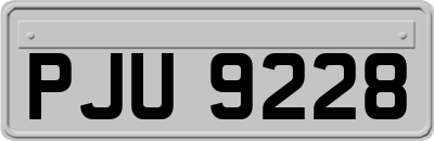 PJU9228