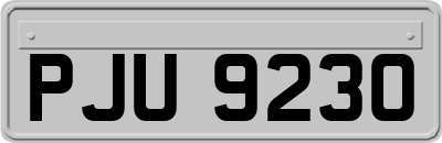 PJU9230