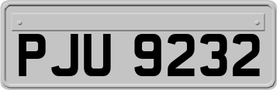 PJU9232