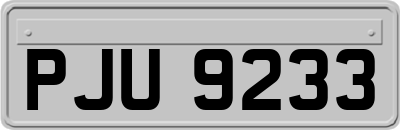 PJU9233