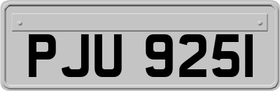 PJU9251