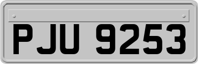 PJU9253