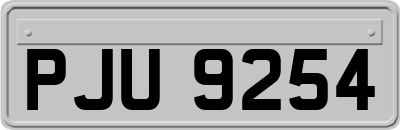 PJU9254