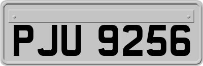 PJU9256