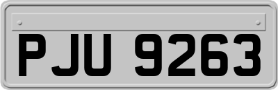 PJU9263