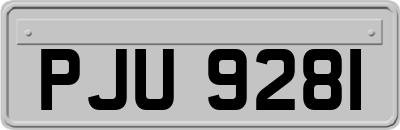 PJU9281