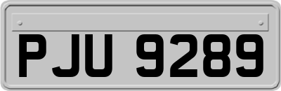 PJU9289