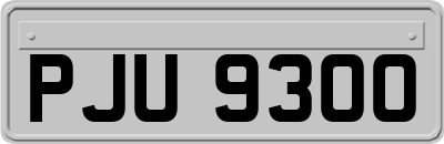 PJU9300