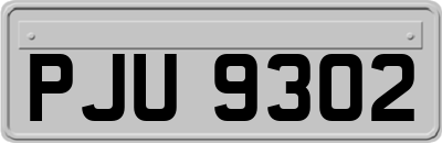 PJU9302