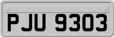 PJU9303