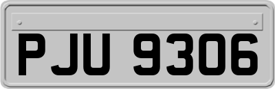 PJU9306