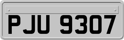 PJU9307