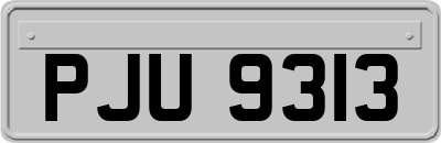PJU9313