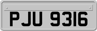 PJU9316