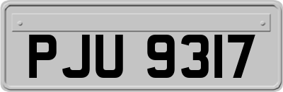 PJU9317
