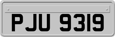 PJU9319