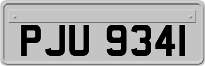 PJU9341