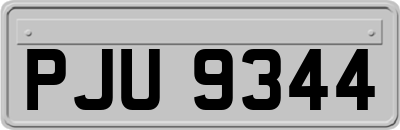 PJU9344