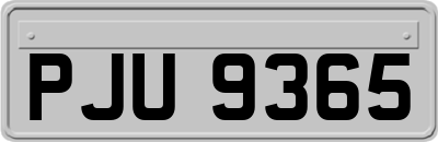PJU9365