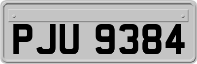 PJU9384