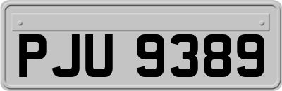 PJU9389
