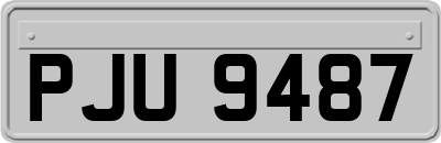 PJU9487