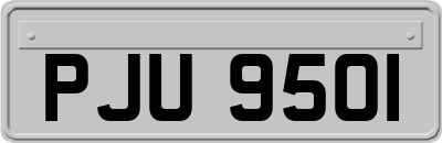 PJU9501
