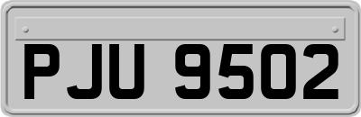 PJU9502