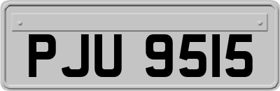 PJU9515