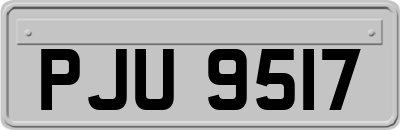 PJU9517