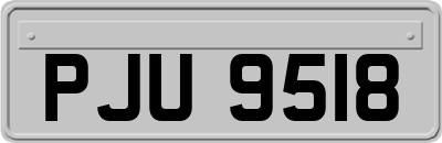 PJU9518