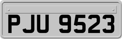 PJU9523