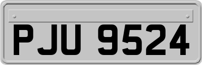 PJU9524