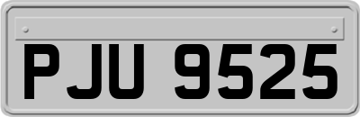 PJU9525