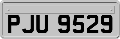PJU9529