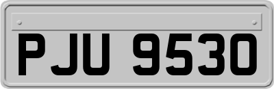 PJU9530