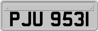 PJU9531